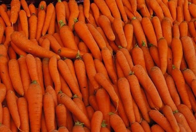 Не позволим овощам завянуть и сгнить