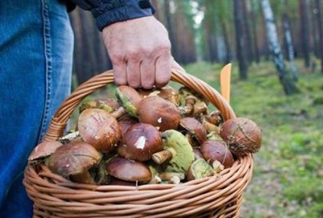 Вам на заметку