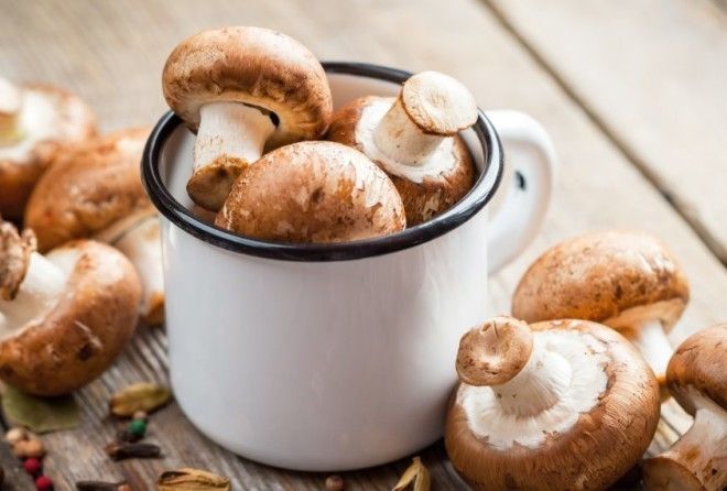 Вам в копилку!