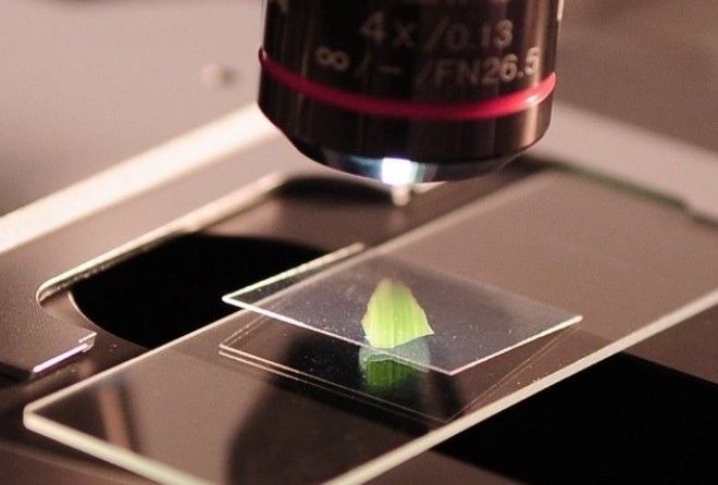 Невероятное