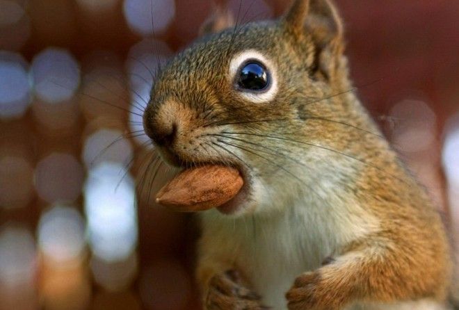 Ответы на вопросы, которые периодически приходят вам в голову