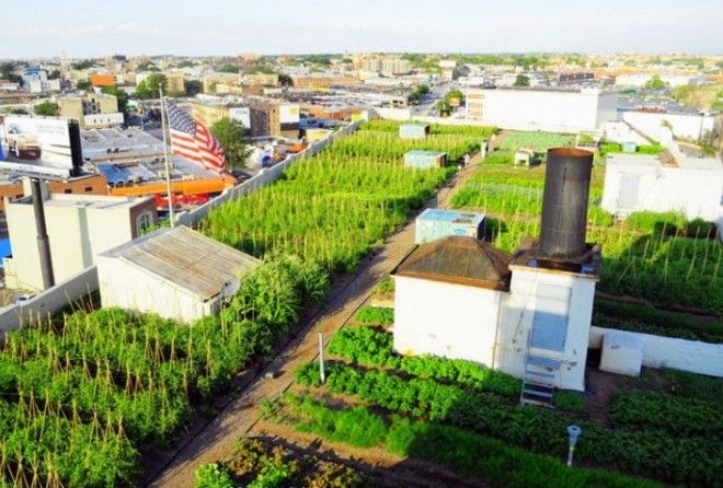 До чего дошел прогресс...