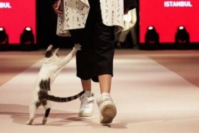 Теперь она звезда модельного бизнеса!