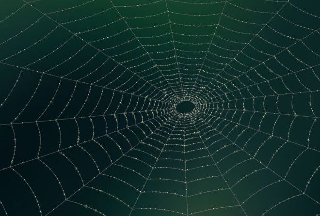 Ученые наконец нашли ответ