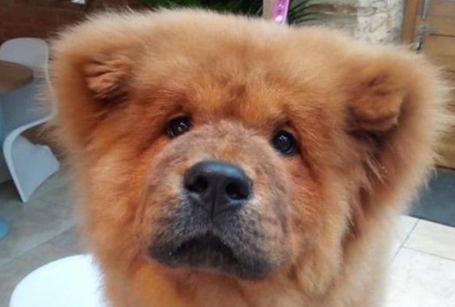 В местной полиции произошедшее не комментируют.