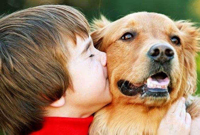 Кто в детстве не хотел завести собаку?