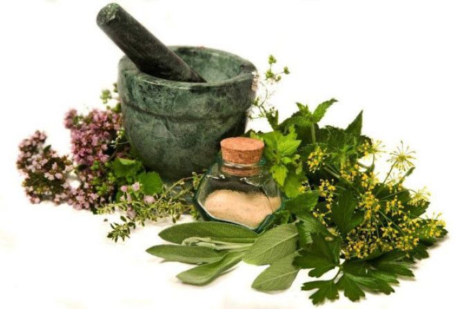 Сделайте отвар из трех корней и вы забудете о болезнях