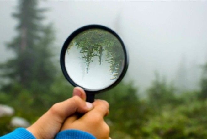 СМИ – главный режиссер нашего мировоззрения