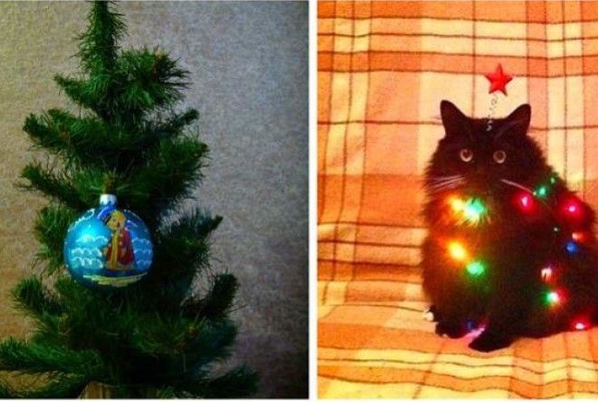 Им было лень наряжать елки.