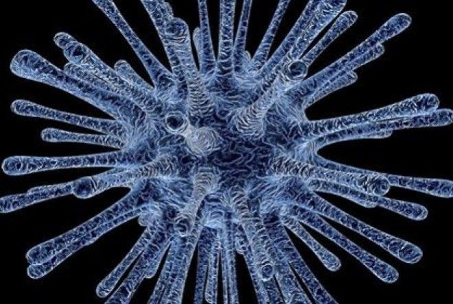 То, о чем вы всегда хотели узнать, но боялись спросить.