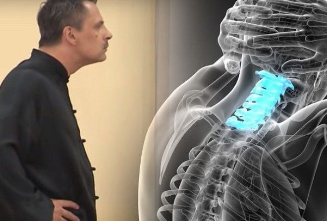 Улучшает кровообращение и возвращает на место шейные позвонки