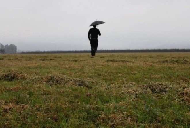 Никто не может прожить вашу жизнь за вас.